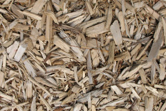 biomass boilers Forewoods Common